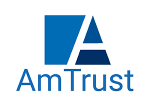 AmTrust Management Services Ltd