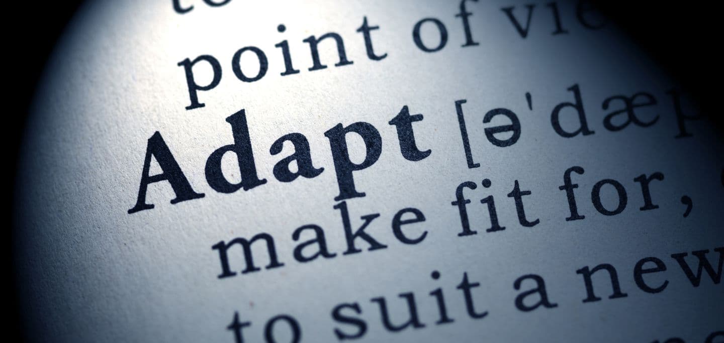 Thriving in a Rapidly Evolving Tech Industry: Adaptation and Growth Strategies