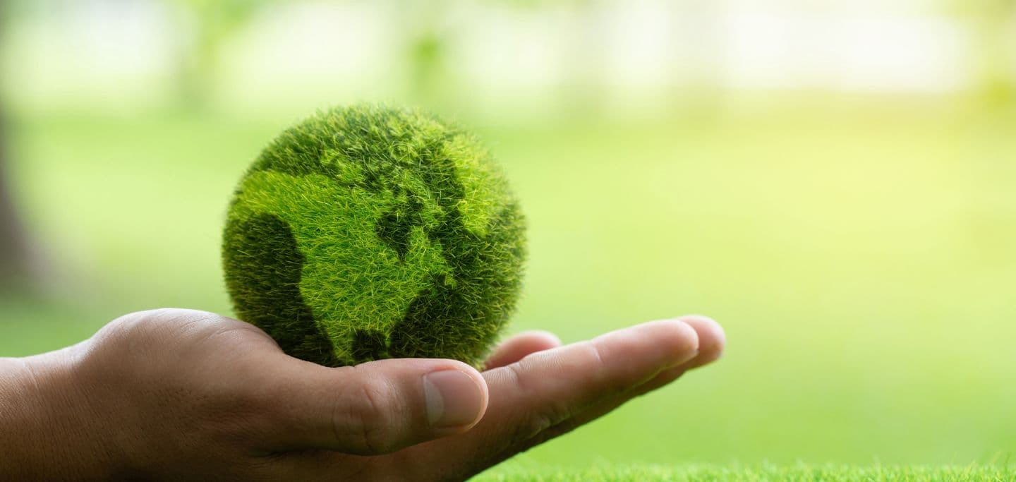 4 Ways Businesses Can Reduce Overheads To Be More Sustainable