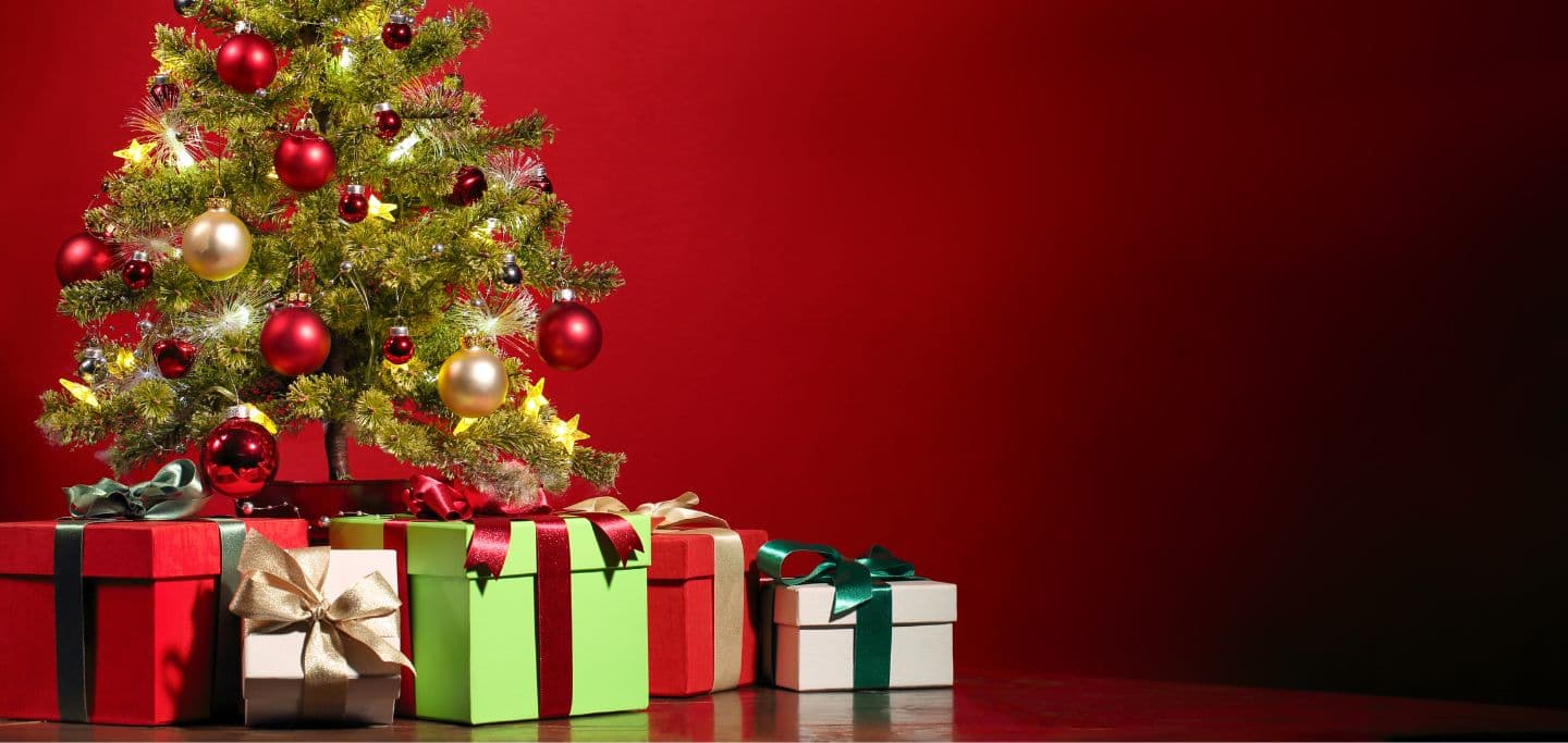 Prospectus and Christmas Opening