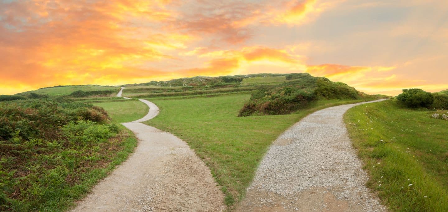 Contracting vs. Permanent Roles in IT: Which Path Suits You?